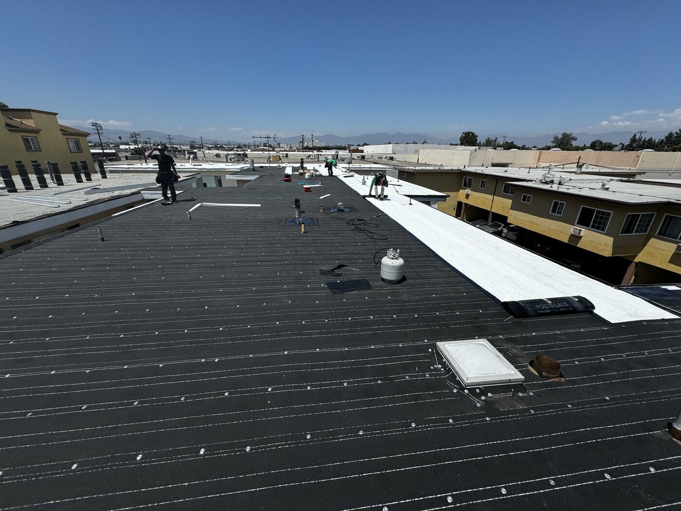 Shingle roof during cleaning and rejuvenation treatment